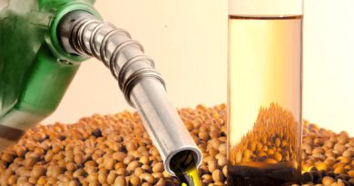 biodiesel soja