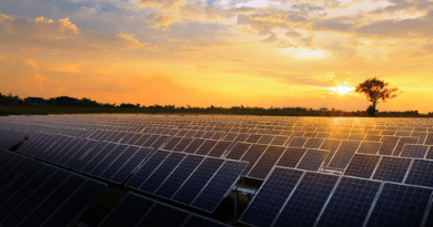 Grupo Fleury adota energia solar