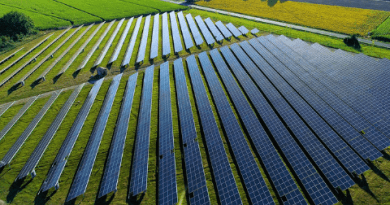 O avanço da energia solar de grandes usinas