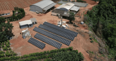 Sistemas fotovoltaicos rurais tem crescimento de 63,3%
