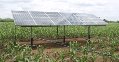 Bombeamento solar impulsiona a produção agrícola