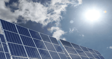 Eletrificação da frota de veículos e expansão do hidrogênio verde criam mercado de R$ 2,2 trilhões para setor fotovoltaico
