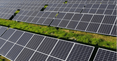 Investimento em usinas fotovoltaicas