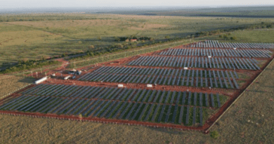 Delta Energia investe em fazendas solares