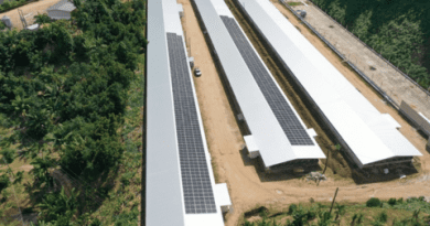 Grupo avícola do Espírito Santo investe em usinas solares