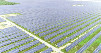 Primeiro parque solar greenfield desenvolvido pela CGN Brasil