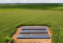 EcoPower faz parceria com a Bayer para estimular redução de carbono na agricultura
